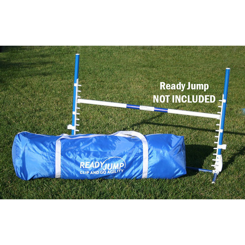 Bag_NI__39762.1473338790.jpg?c=2