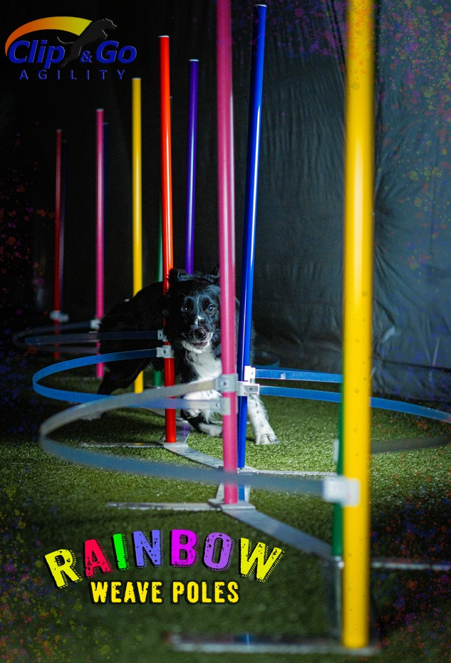 Weave Poles Dog Agility Training Kit Dog Training Tools Geerduo