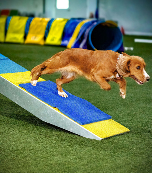 FANTASTIC DOG アジリティ用 ランニングコンタクトマット Ultimate Dogwalk Contact Mat - Clip and Go Agility