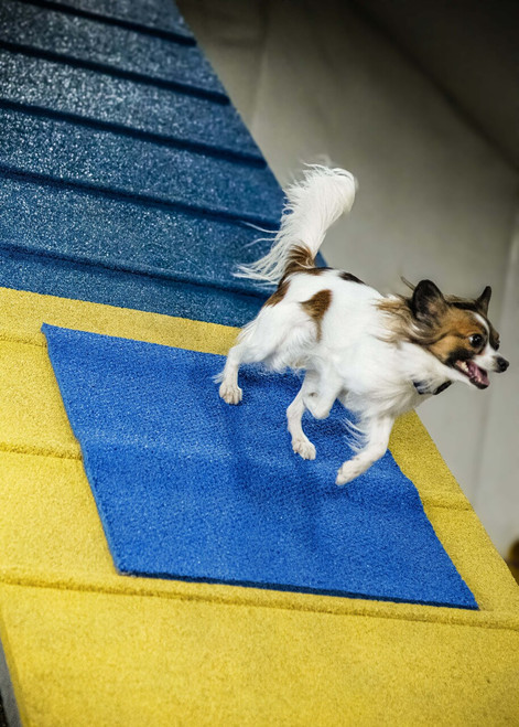 Ultimate Aframe Contact Mat - Clip and Go Agility