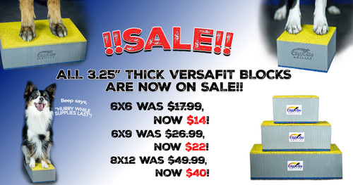 **SALE!!** VersaFit Fitness Blocks 3.25" Thick