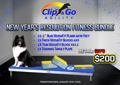 NEW YEAR'S RESOLUTION FITNESS BUNDLE