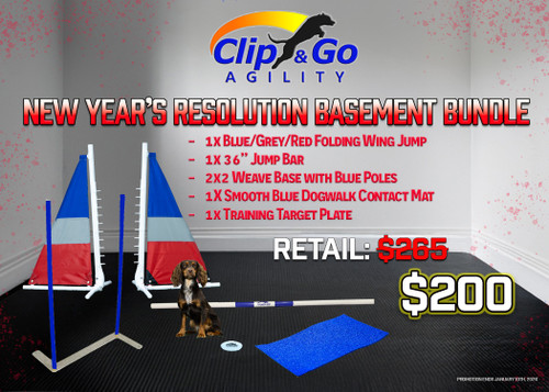 NEW YEAR'S RESOLUTION BASEMENT BUNDLE