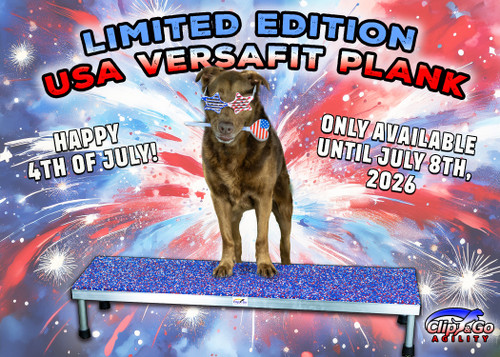 *LIMITED EDITION* USA GLITTER PLANK