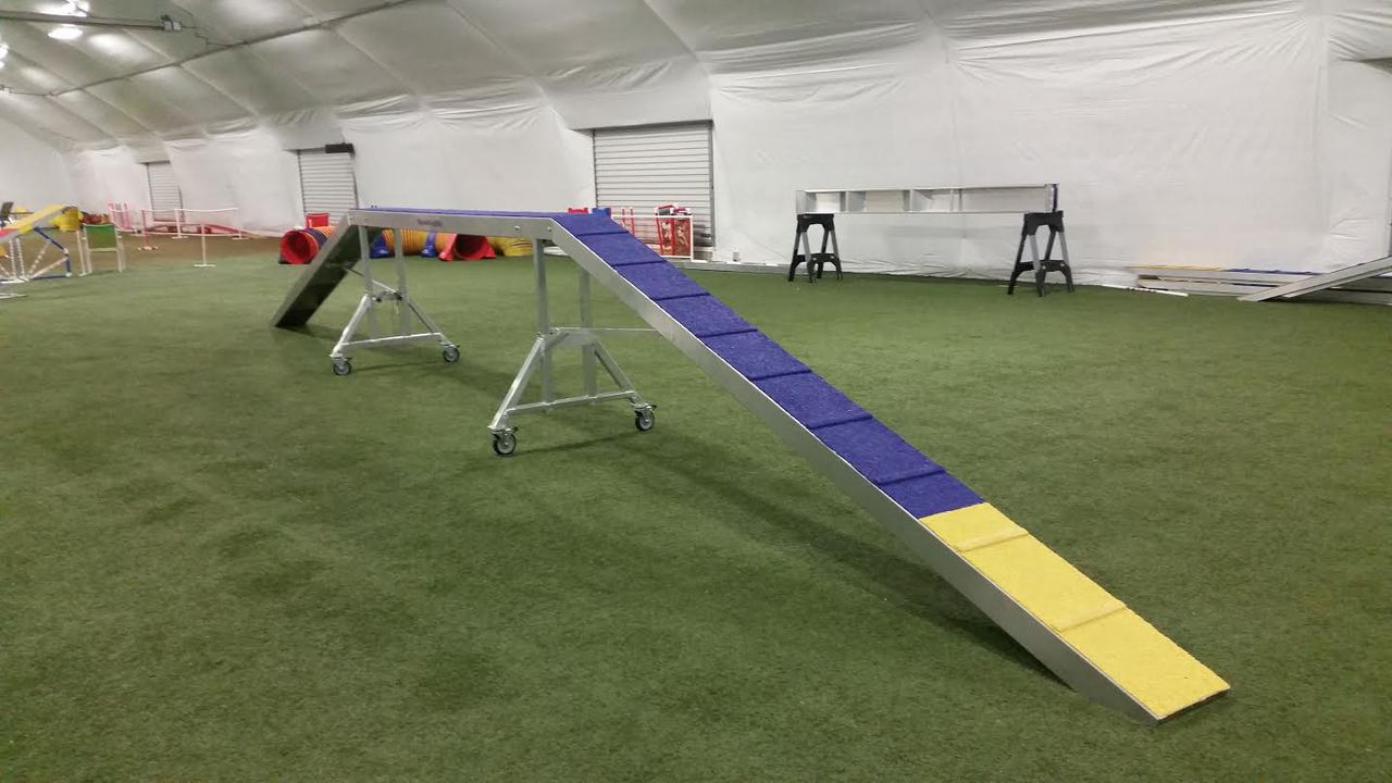 go dog agility