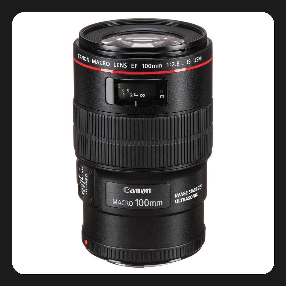 Canon EF 100mm f2.8L IS USM Macro レンズ ジャンク Y10154731