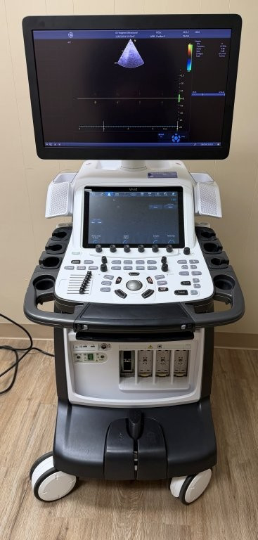 GE Vivid E95