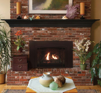Empire Small 20" Innsbrook Direct-Vent Clean-Face Traditional Gas Insert, Millivolt Ignition - DVC20IN31N