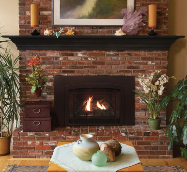 Empire Small 20" Innsbrook Direct-Vent Clean-Face Traditional Gas Insert, IP Ignition - DVC20IN71N