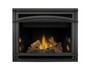 Napoleon Ascent 42 Gas Fireplace- B42