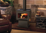 Ironstrike Tahoma 1600 Wood Burning Stove - T160GL