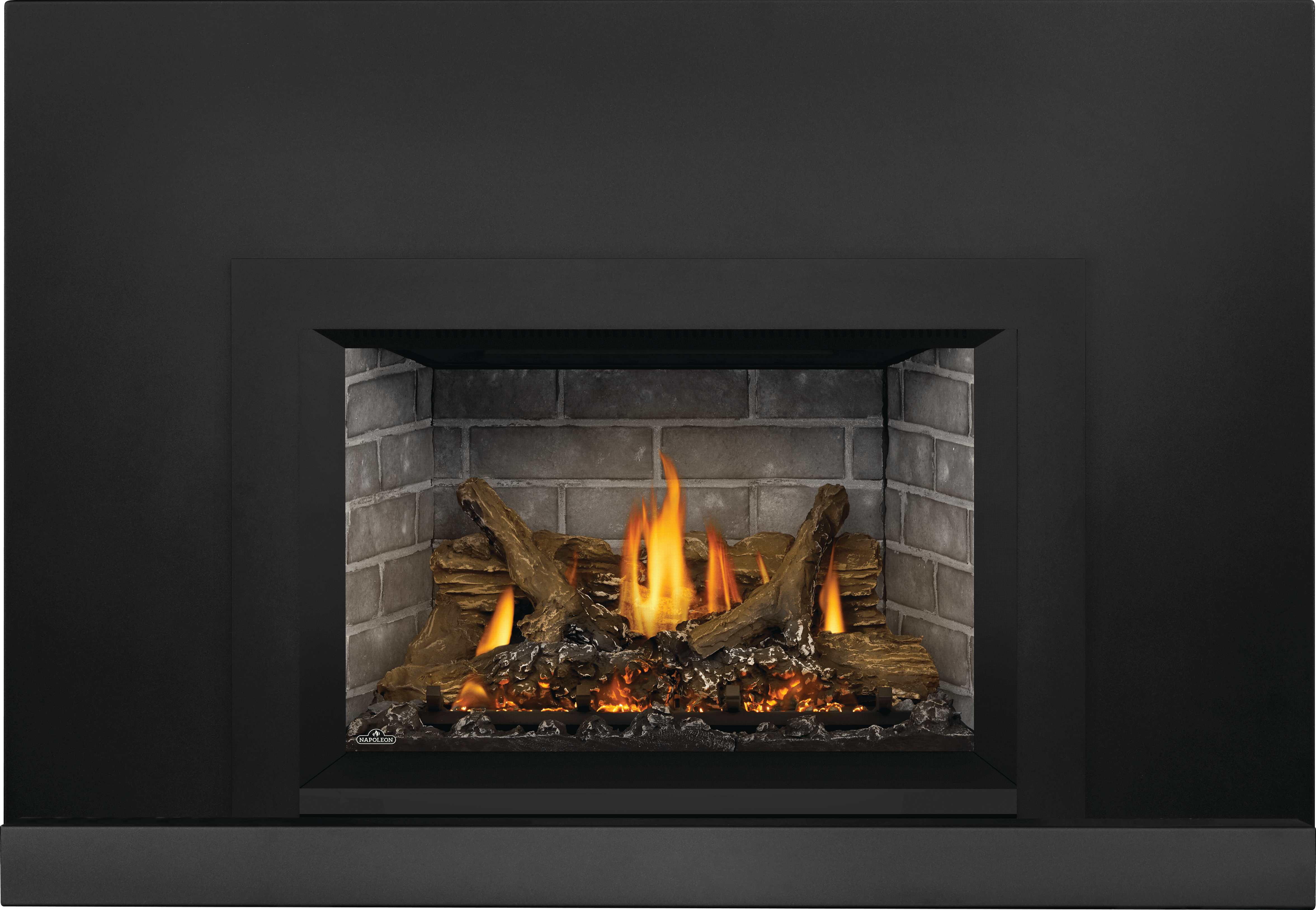 Napoleon Okaville GDIX3 Gas Insert