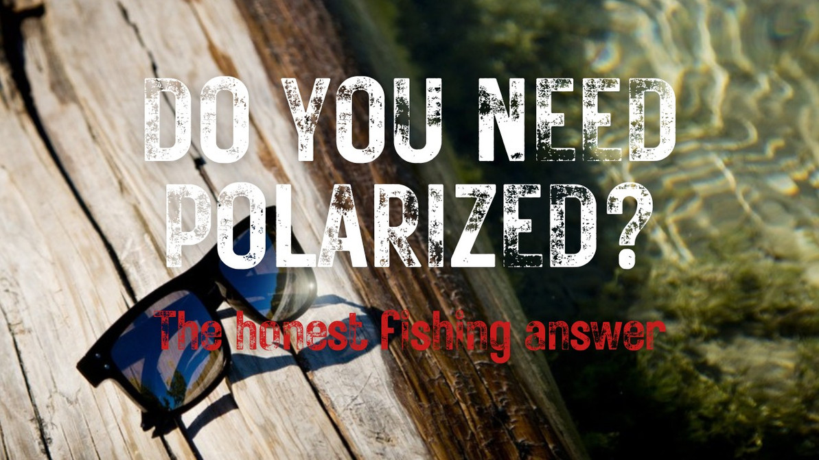 Polarized vs. Non-Polarized Sunglasses for Fishing: Which Do You Actually Need?