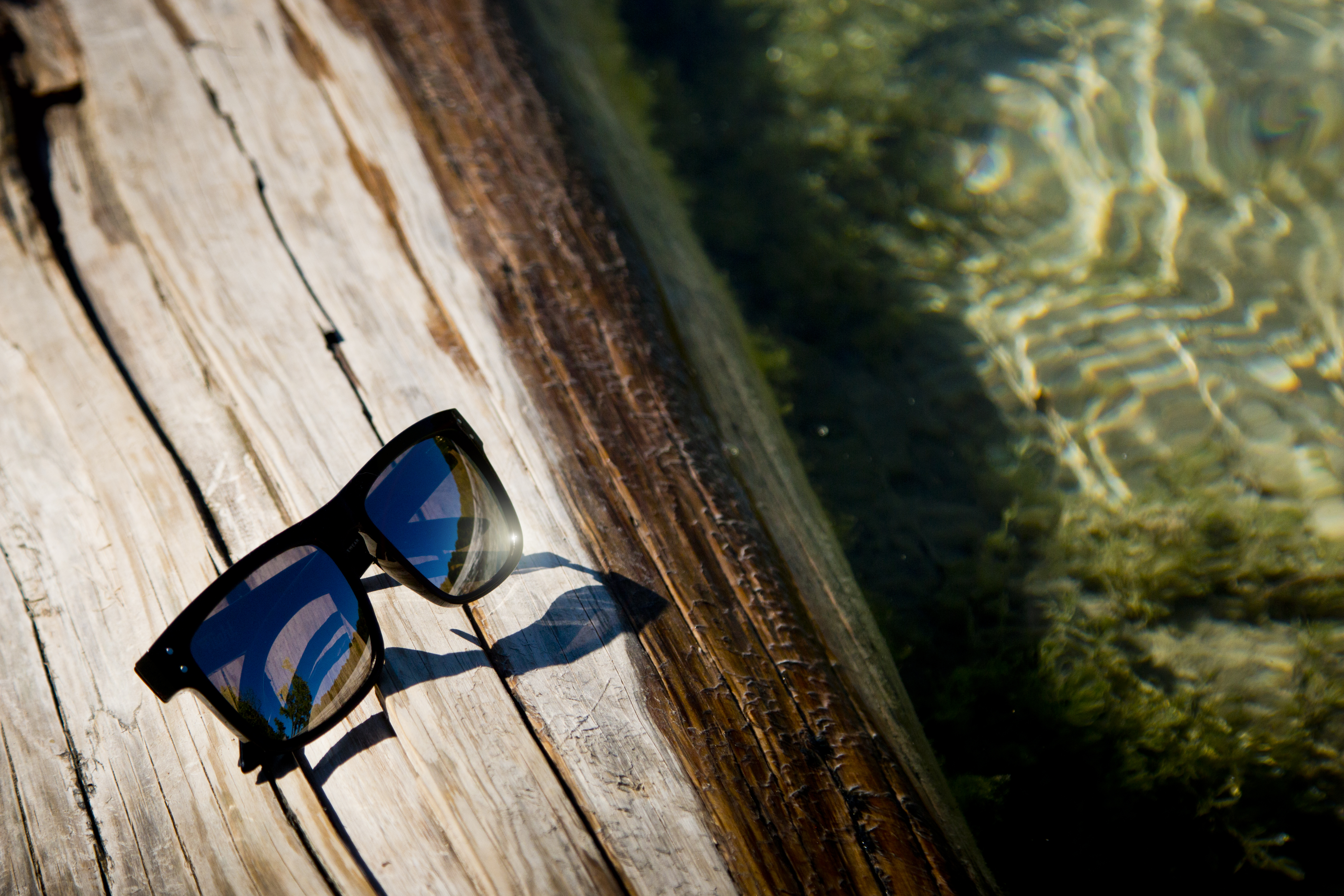 Flight Eyewear sunglasses on a dock log next to clear water