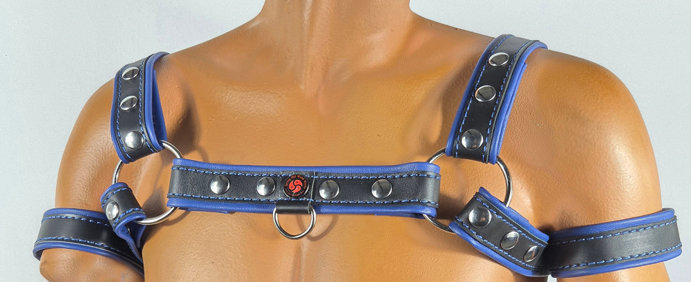Black-blue harness with front D-ring front with matching arm bands