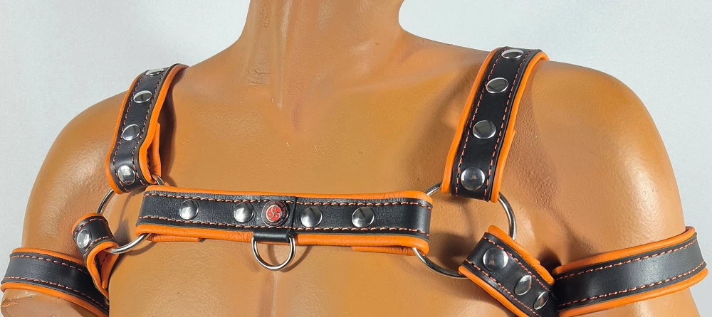 Black-orange harness with front D-ring front with matching arm bands
