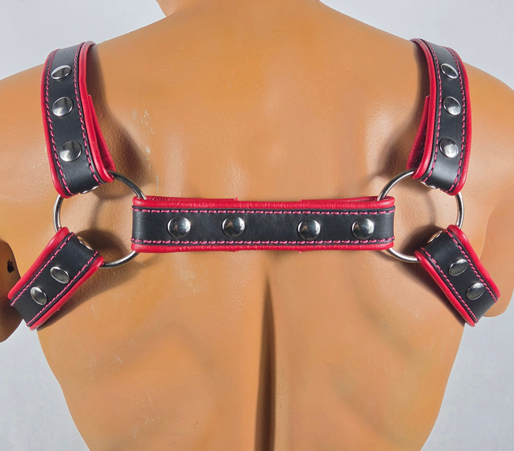Black-red harness with front D-ring back