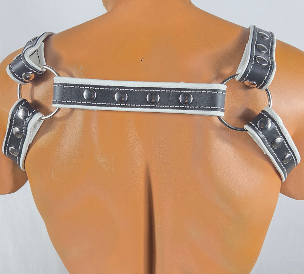 Black-white harness with front D-ring back