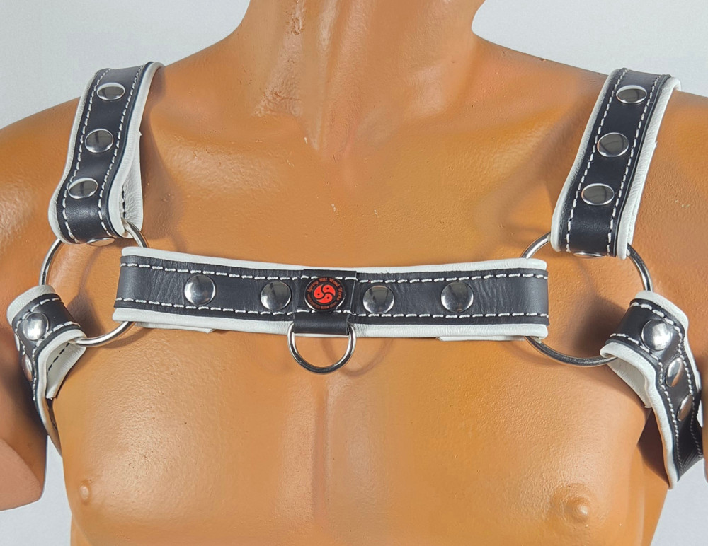 Black-white harness with front D-ring front