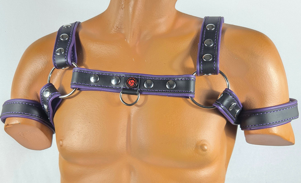 Black-purple harness with front D-ring front with matching arm bands