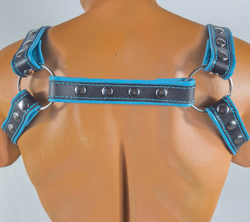 Black-turquoise harness with front D-ring back