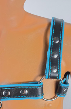 Black-turquoise harness with front D-ring closeup