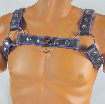 Black-purple harness with front D-ring front