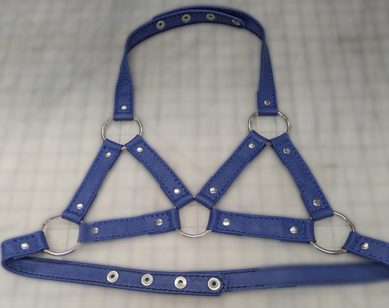harness-blue.jpg