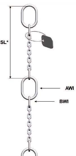 PCWI 7/1250 pump chain 100.5