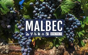 Malbec Malbec