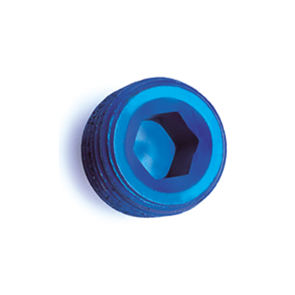 ALLEN SOCKET PIPE THREAD PLUG ALLEN SOCKET PIPE THREAD PLUG