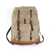 Swiss Army Backpack