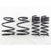 RS-R 2015-2021 Subaru WRX Down Sus Springs - F400D Photo - Primary