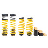 ST Audi A4 (B9) Sedan 2WD Adjustable Lowering Springs - 273100BK Photo - Primary