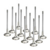 Supertech Audi/VW 2.7T APB Inconel-Nimonic  Exhaust Valve - Set of 12 - AEVI-1106S-12 User 1