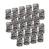 Supertech Toyota 2JZ-GE 15.2mm Inner Dia 20mm Outer Dia Dual Valve Spring - Set of 24 - SPR-TS1015-24 User 1