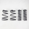 RS-R 2015-2021 Subaru WRX STI (VAB) Down Sus Springs - F402D User 1