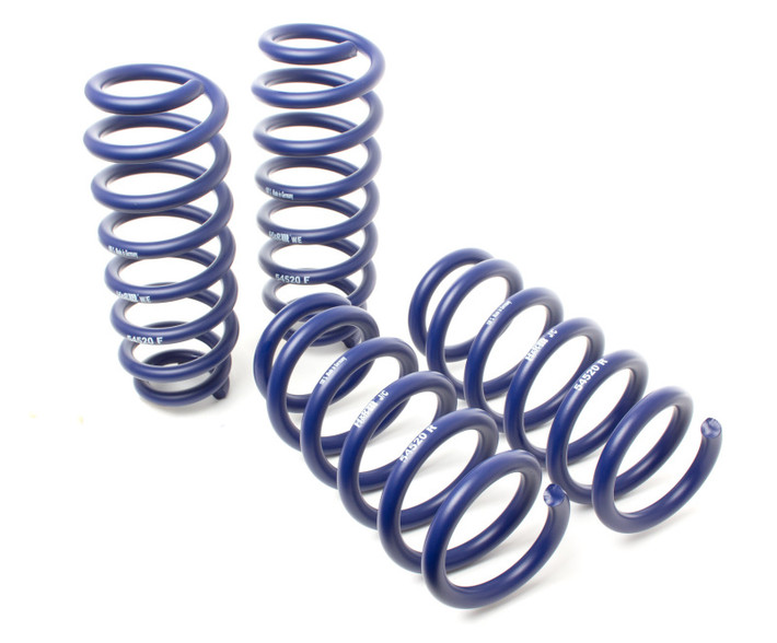 H&R 20-22 Tesla Model Y Performance (AWD) Lift Spring (Non Air Susp.) - 54520 User 1