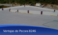 Ventajas de Pecora 8246 (antes CCW5123)