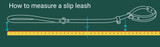 Rope Slip Leash
