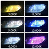 HID BULBS - Pair