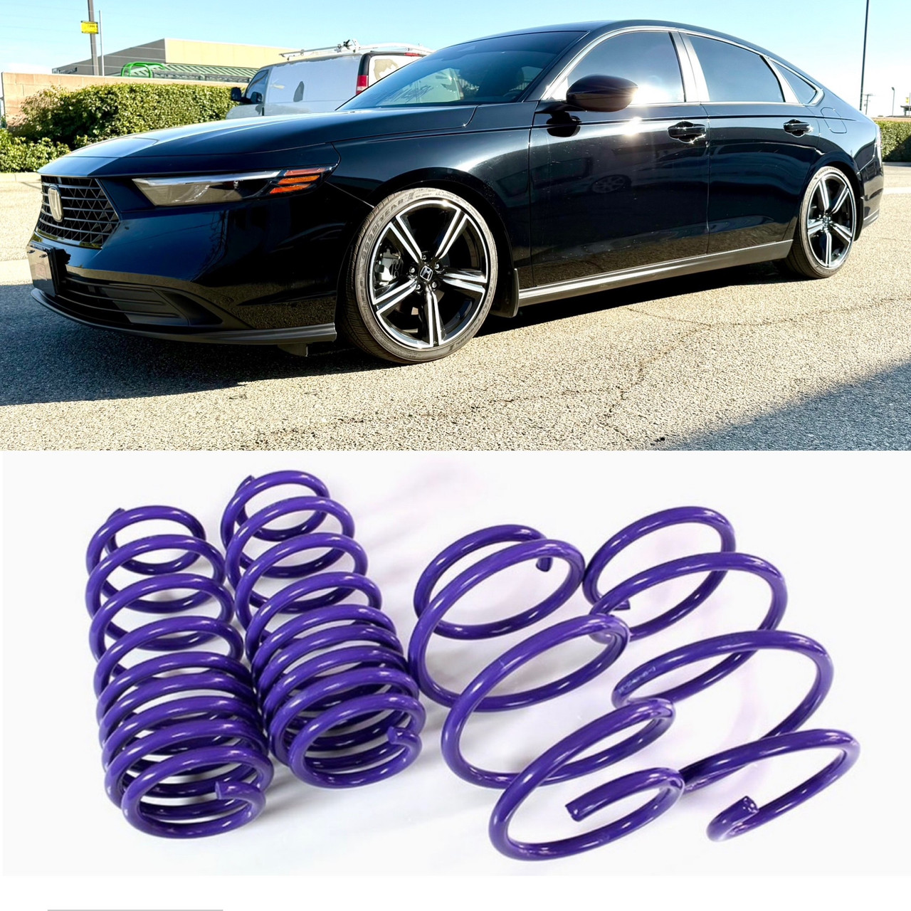 D2 Racing Lowering Springs 23-25 Honda Accord