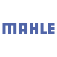 Mahle Motorsports
