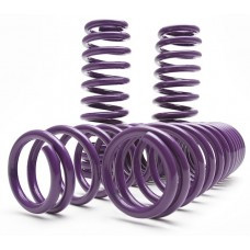D2 Racing Lowering Springs 16-2021 Honda Civic