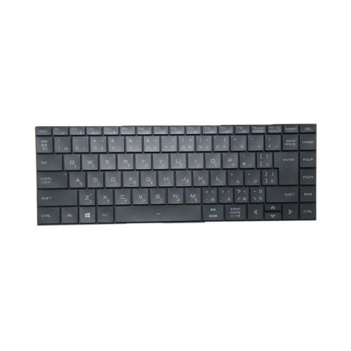 Laptop With Backlit Keyboard For Tongfang PF5MN2G Japanese JP Gray New