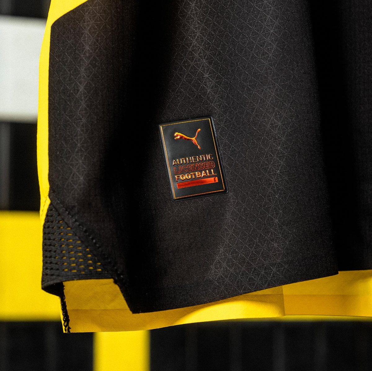 Borussia Dortmund 23/24 Authentic Men's Home Shirt