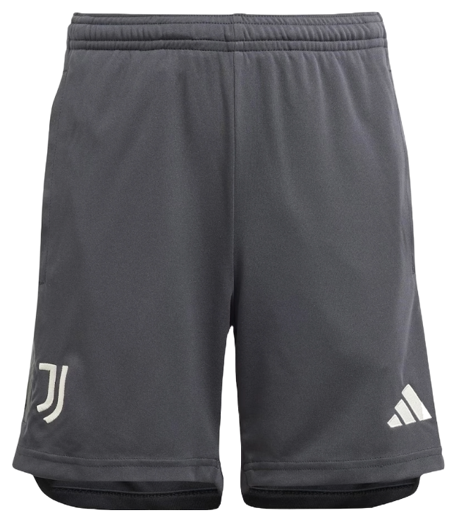 Juventus 23/24 Authentic Men's Third Shirt