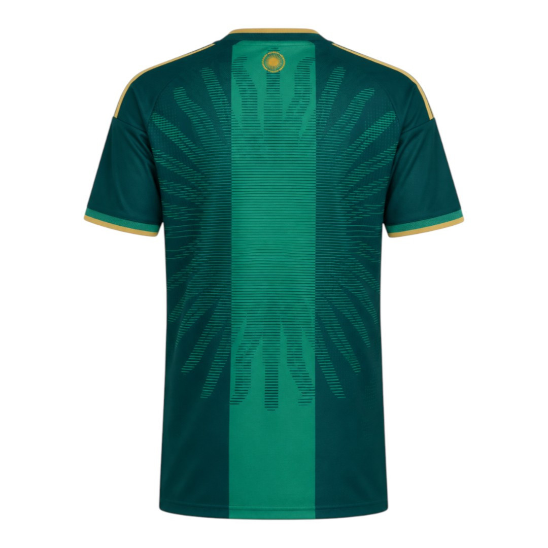 Argentina 2026 Stadium Men's Messi Farewell Aurora Ivy Shirt