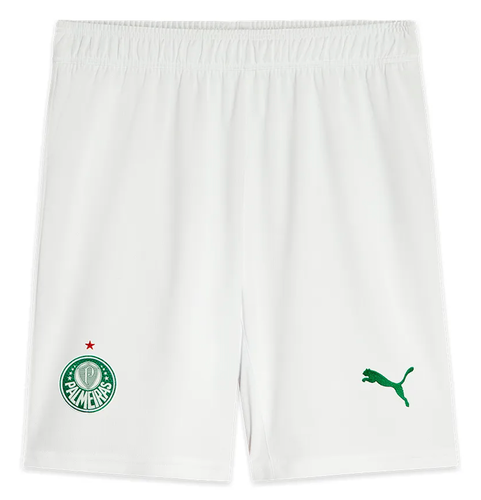 Palmeiras 25/26 Authentic Men's Home Shirt
