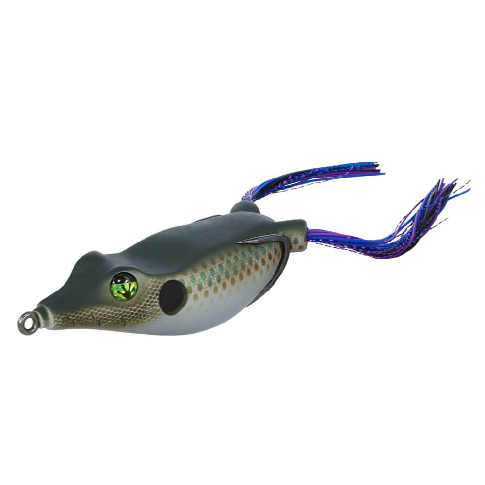 Frog Factory Biggie Boom Frog Gilly